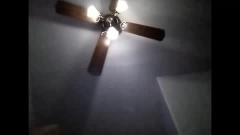 sil15nissan online show from 19, 2, 2026