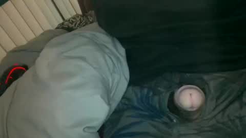 silentstiffler online show from 30, 11, 2025