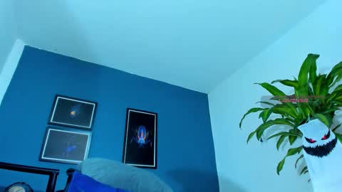 silvabranko online show from 17, 10, 2025