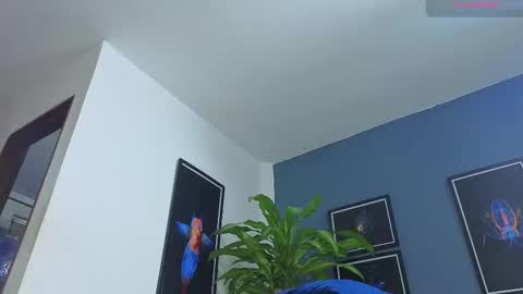 silvabranko online show from 26, 11, 2025