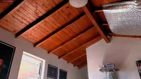 Snapshot of silvabranko chatting on 22, 6, 2026 silvabranko online show from 22, 6, 2026
