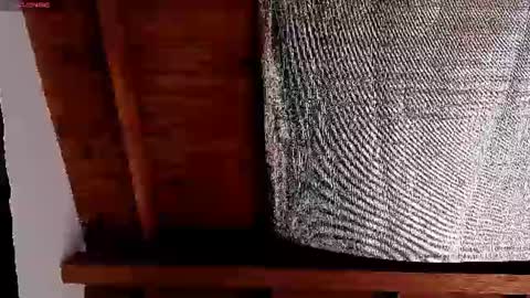 Snapshot of silvabranko chatting on 3, 7, 2026 silvabranko online show from 3, 7, 2026