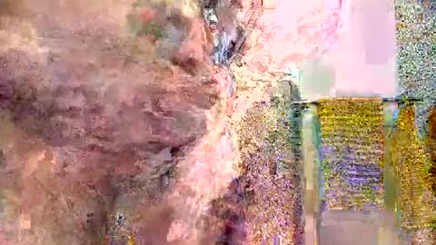 Snapshot of silversurfer1974 chatting on 16, 1, 2025 silversurfer1974 online show from 16, 1, 2025