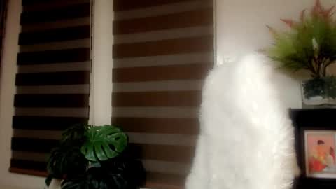 Snapshot of simplyjullia chatting on 6, 1, 2026 online show from 6, 1, 2026