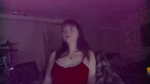 simpsznn online show from 12, 2, 2026