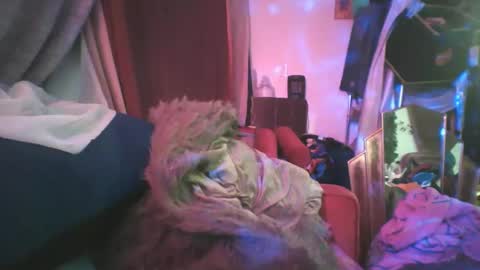 Siofra online show from 24, 2, 2025