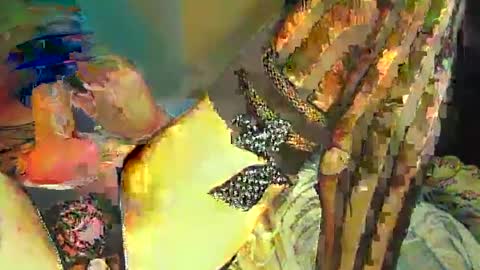 Snapshot of sir__loin411 chatting on 20, 2, 2025 Sir Loin online show from 20, 2, 2025