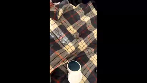 Snapshot of sirgalaxy chatting on 2, 11, 2025 sirgalaxy online show from 2, 11, 2025