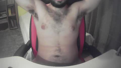 sissy_bear_ online show from 26, 5, 2026