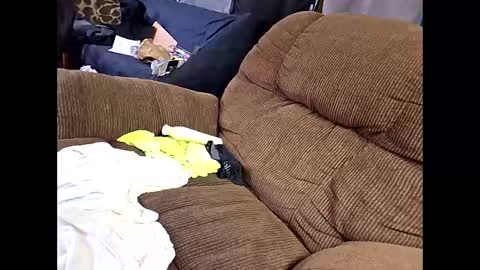 sissyboi124995 online show from 11, 4, 2026