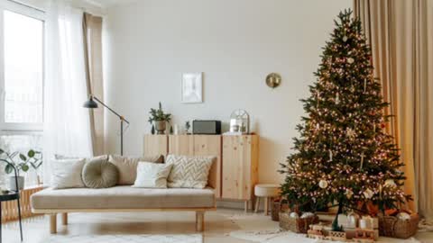 Snapshot of siswet19 chatting on 19, 12, 2024 Elise online show from 19, 12, 2024