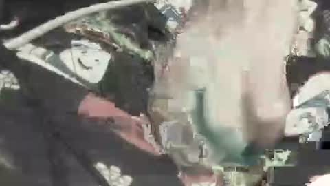 sithjw78 online show from 23, 11, 2025