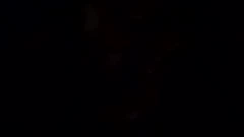 BEEF online show from 5, 1, 2025