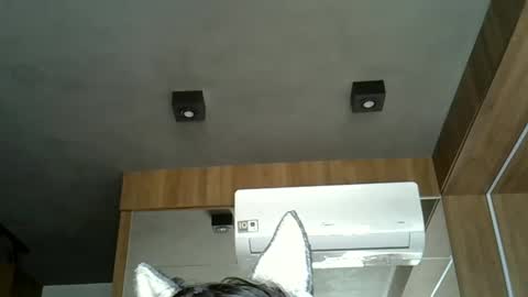 skinnykittencam online show from 21, 9, 2025