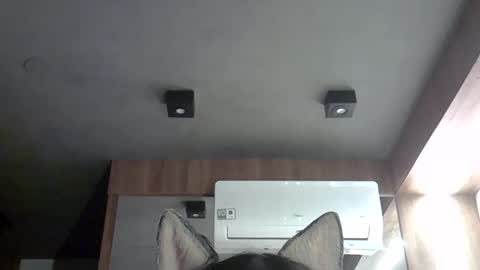 skinnykittencam online show from 28, 9, 2025