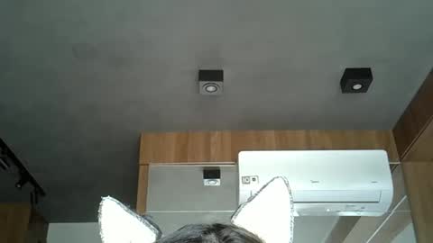 skinnykittencam online show from 6, 10, 2025