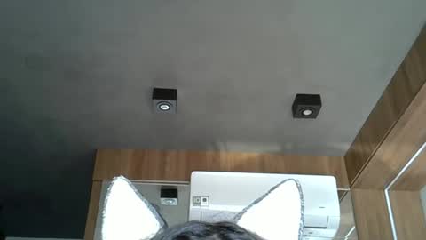 skinnykittencam online show from 17, 10, 2025
