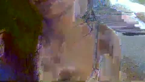 skinnykittencam online show from 16, 11, 2025