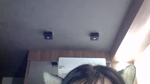 skinnykittencam online show from 12, 4, 2026