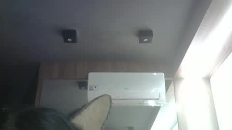 Snapshot of skinnykittencam chatting on 4, 5, 2026 skinnykittencam online show from 4, 5, 2026