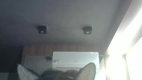 Snapshot of skinnykittencam chatting on 24, 5, 2026 skinnykittencam online show from 24, 5, 2026