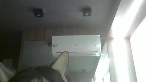 Snapshot of skinnykittencam chatting on 26, 5, 2026 skinnykittencam online show from 26, 5, 2026
