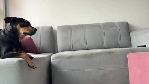 Snapshot of skinnylatin69 chatting on 3, 2, 2025 skinnylatin69 online show from 3, 2, 2025