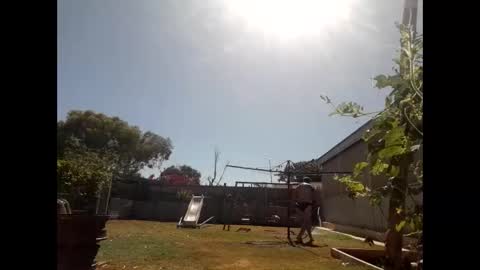 Snapshot of skip1975 chatting on 29, 12, 2024 skip1975 online show from 29, 12, 2024