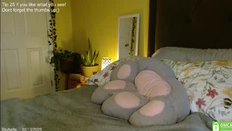 Skylar online show from 13, 2, 2025