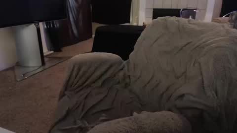 SKYLE   online show from 10, 10, 2025