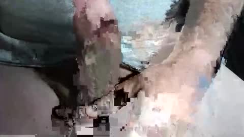 Z online show from 13, 9, 2025