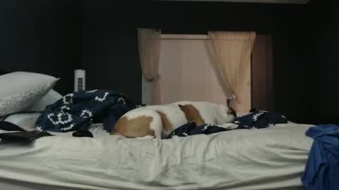 slimjp online show from 7, 2, 2026