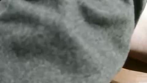 Snapshot of slimsunny chatting on 4, 12, 2024 slimsunny online show from 4, 12, 2024