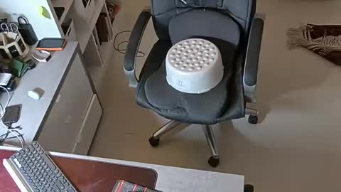 sluttygina1 online show from 28, 1, 2025