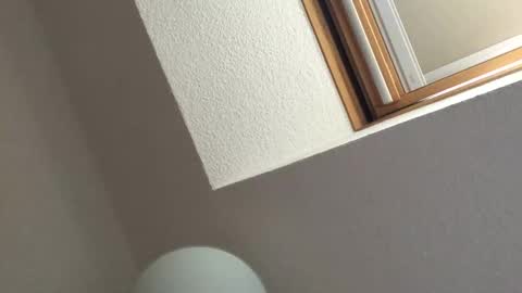 Snapshot of sm_bernd chatting on 18, 9, 2025 Bernd online show from 18, 9, 2025