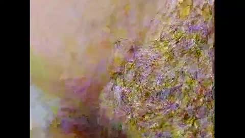 Small Hairy Uncut online show from 26, 2, 2025