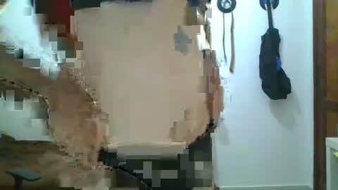 willy online show from 12, 9, 2025