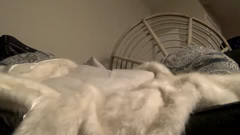 Snapshot of smoke4daddy chatting on 2, 10, 2025 Smoke4Daddy online show from 2, 10, 2025