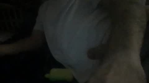 Snapshot of smokenfuk23 chatting on 30, 11, 2025 smokenfuk23 online show from 30, 11, 2025