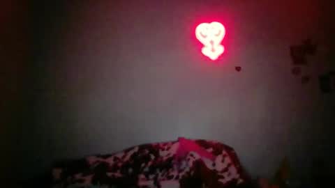 Bambi--Vodka online show from 6, 2, 2026