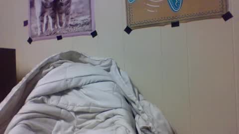 Snapshot of snake1eye67959 chatting on 24, 12, 2024 snake1eye67959 online show from 24, 12, 2024