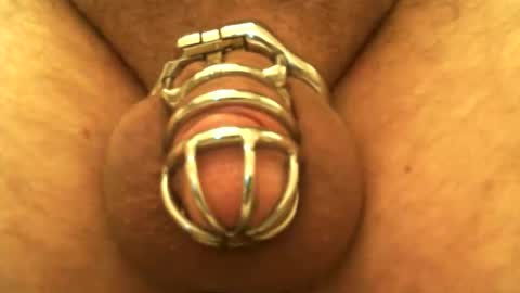 Snapshot of snakepit31 chatting on 24, 12, 2024 Sissy Boy online show from 24, 12, 2024