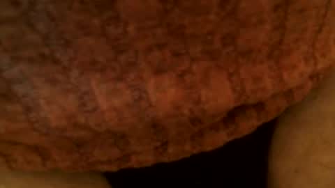 Snapshot of snakepit31 chatting on 2, 3, 2025 Sissy Boy online show from 2, 3, 2025