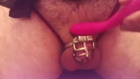 Snapshot of snakepit31 chatting on 14, 9, 2025 Sissy Boy online show from 14, 9, 2025