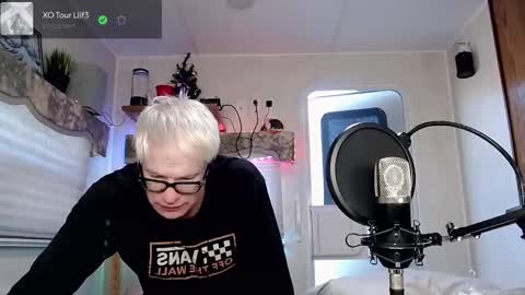 Viiscount  Snarfle Von Snarfenberg online show from 28, 2, 2025