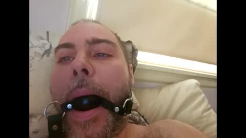 Snapshot of snarkymarks chatting on 17, 12, 2025 snarkymarks online show from 17, 12, 2025