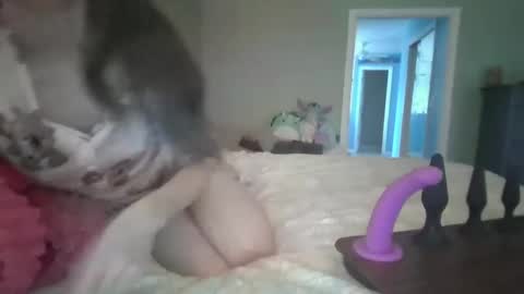 soaring_angel online show from 30, 12, 2024