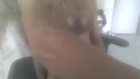 sodomite754 online show from 9, 11, 2025