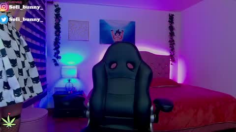 Snapshot of soffi_bunny_ chatting on 23, 2, 2025 soffi_bunny_ online show from 23, 2, 2025