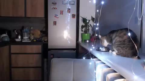 Sofi online show from 19, 1, 2025